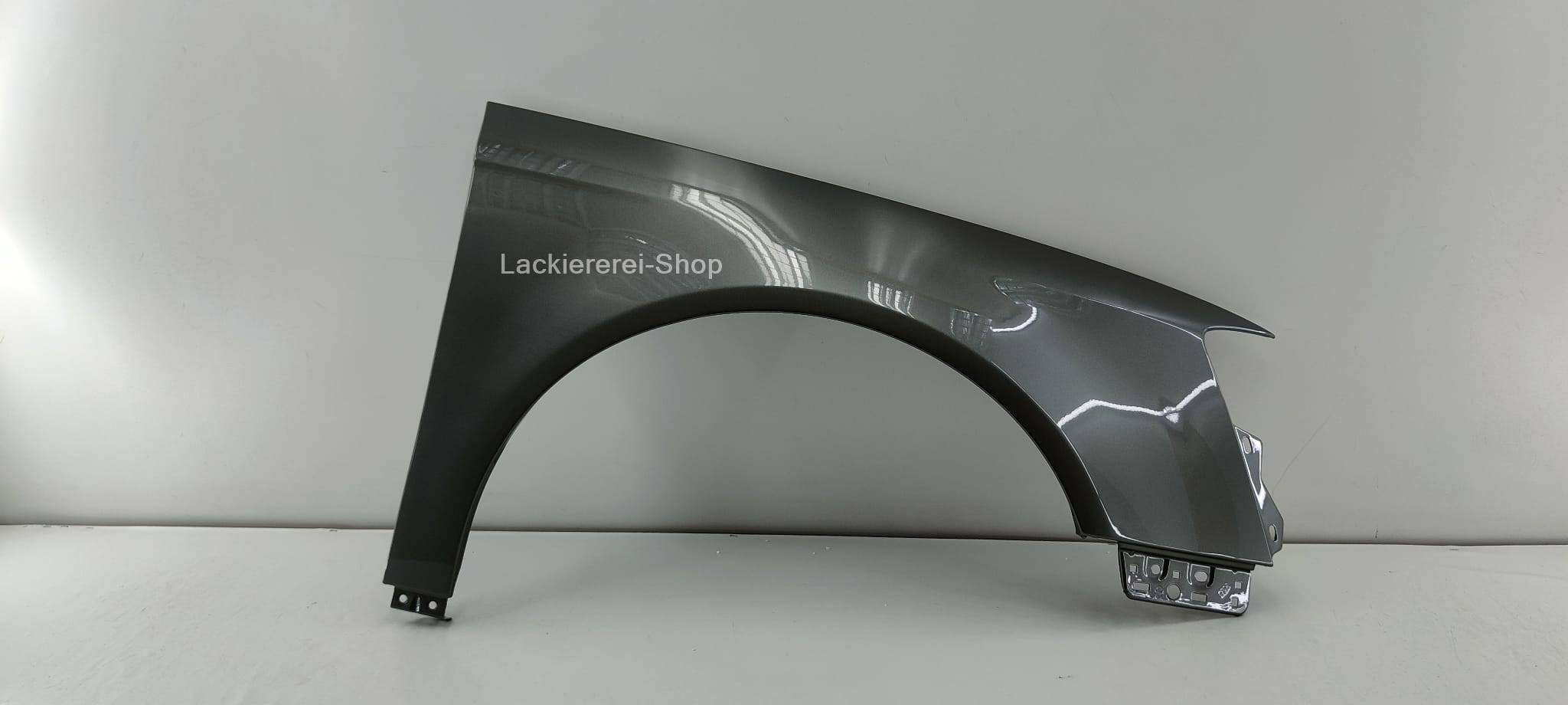 KOTFLÜGEL VORNE LACKIERT IN WUNSCHFARBE NEU für VW Passat 3C (B6) 2005-2010 – Bild 2