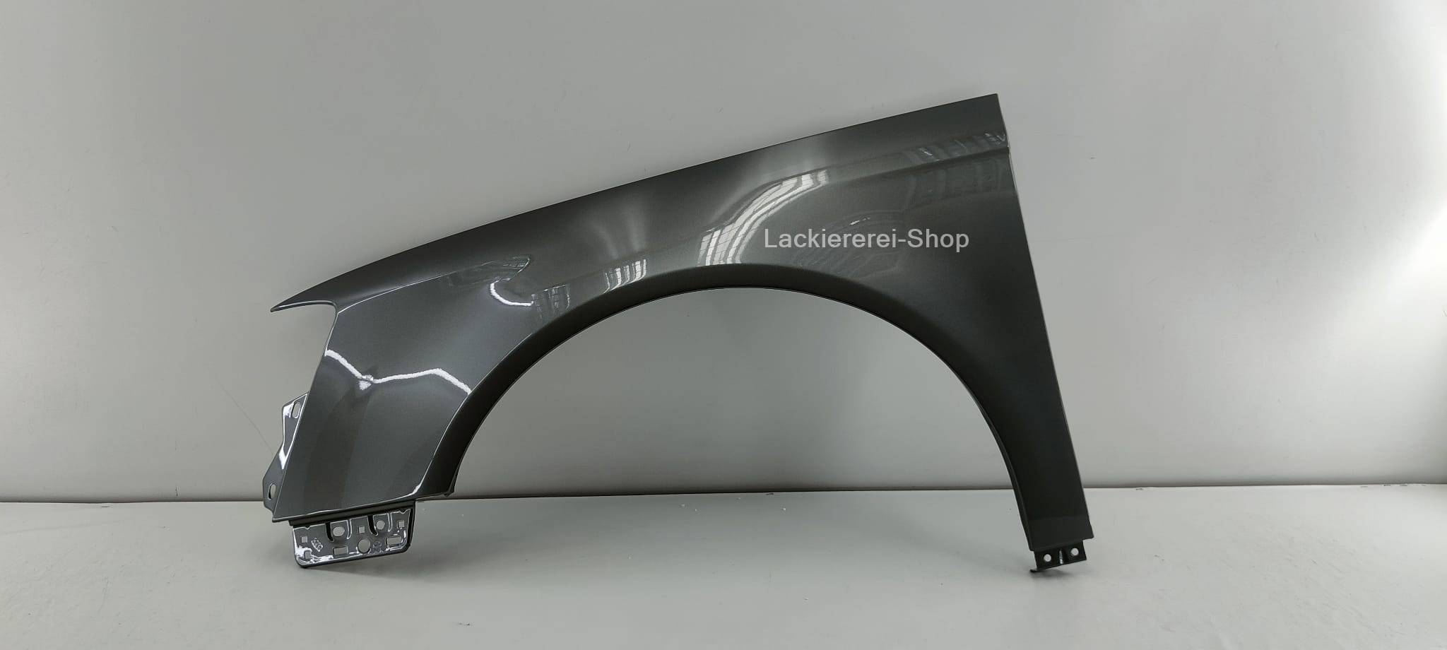 KOTFLÜGEL VORNE LACKIERT IN WUNSCHFARBE NEU für VW Passat 3C (B6) 2005-2010 – Bild 11