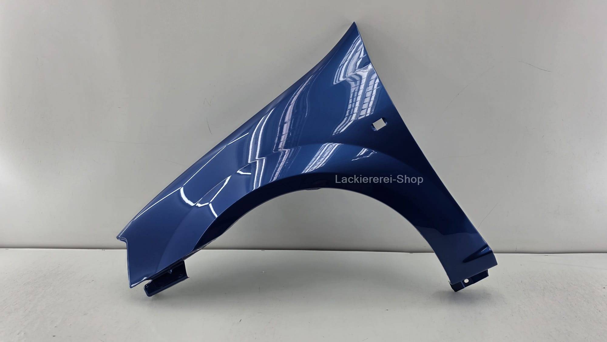 KOTFLÜGEL VORNE LACKIERT IN WUNSCHFARBE NEU für Dacia Logan 2004-2013 – Bild 12