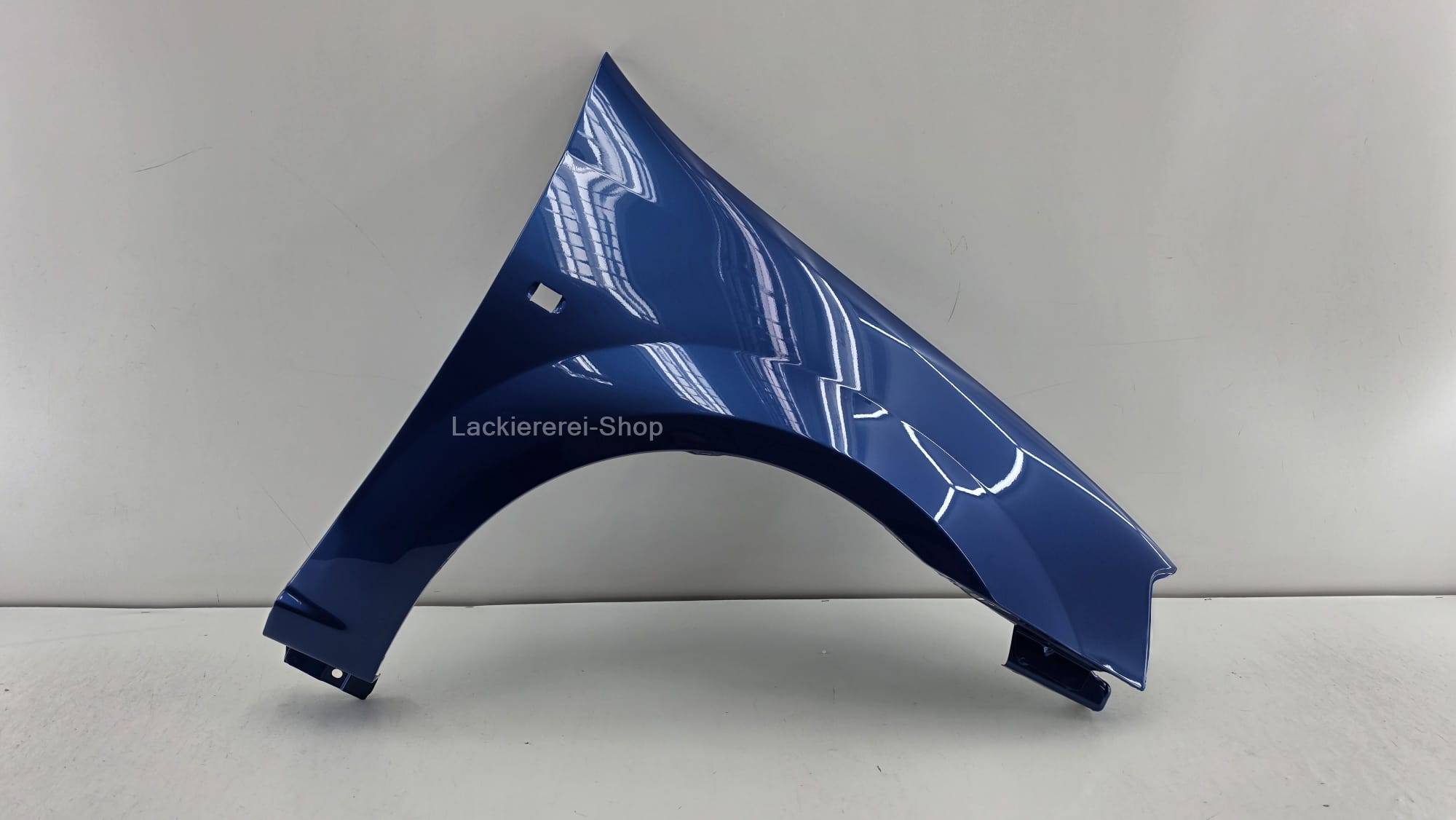 KOTFLÜGEL VORNE LACKIERT IN WUNSCHFARBE NEU für Dacia Logan 2004-2013 – Bild 2