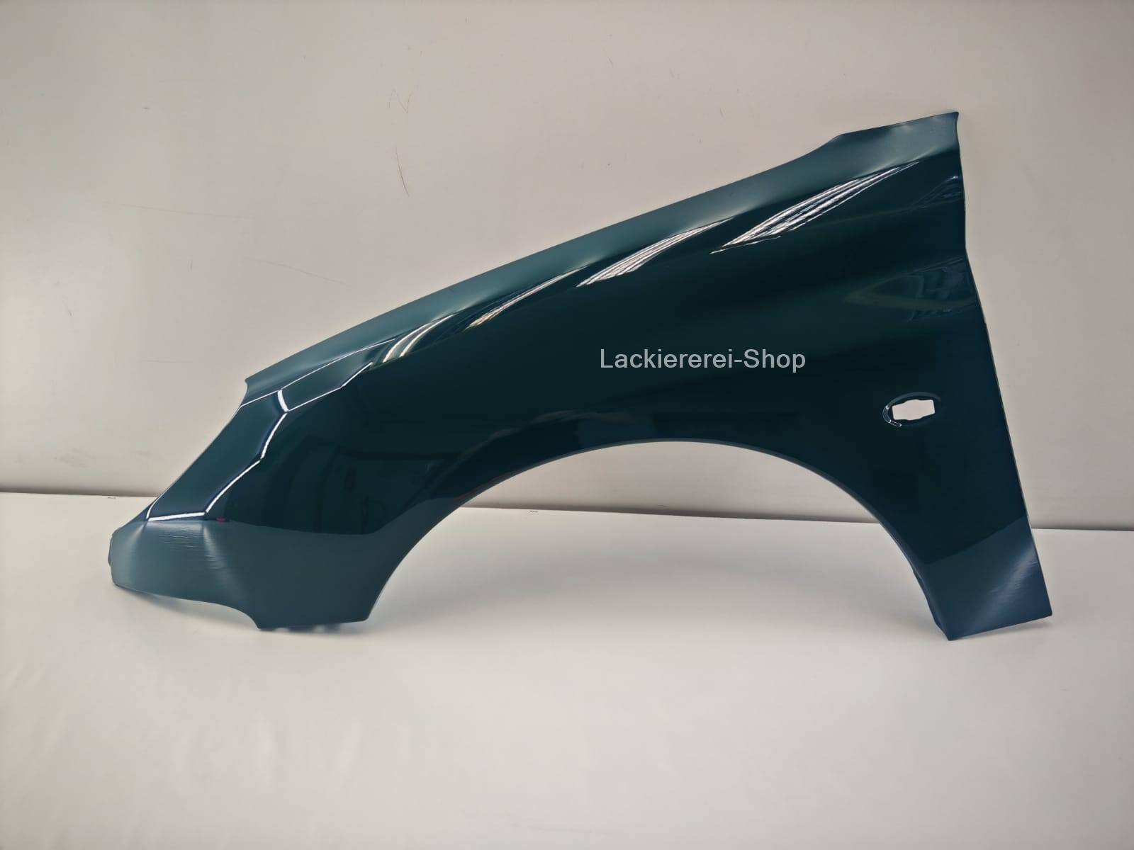 KOTFLÜGEL VORNE LACKIERT IN WUNSCHFARBE NEU für Peugeot 206 1998-2009 – Bild 7