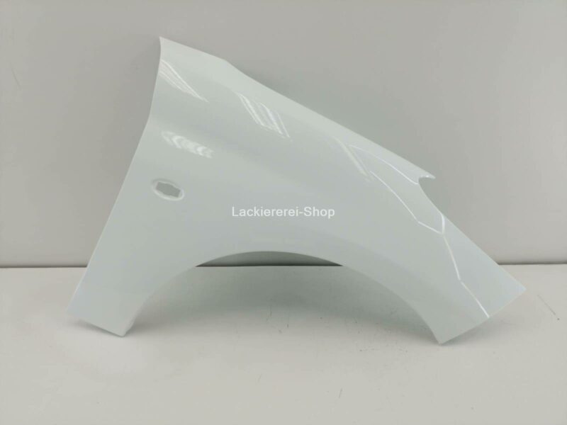 KOTFLÜGEL VORNE LACKIERT IN WUNSCHFARBE NEU für Peugeot 206+ 2009-2012 – Bild 2