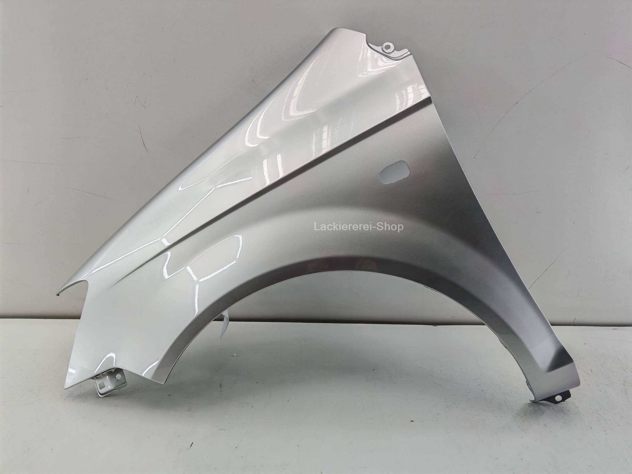 KOTFLÜGEL VORNE LACKIERT IN WUNSCHFARBE NEU für Hyundai Getz 2002-2005 – Bild 4
