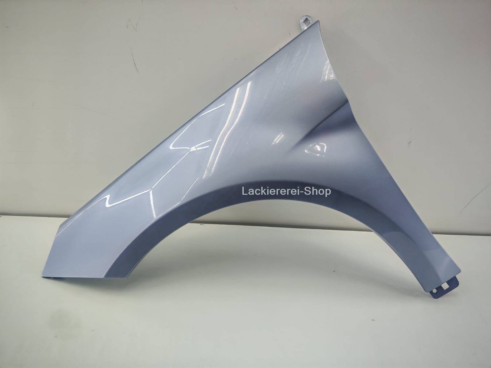 KOTFLÜGEL VORNE LACKIERT IN WUNSCHFARBE für Mercedes-Benz B-Klasse W245 2005-2008 – Bild 2