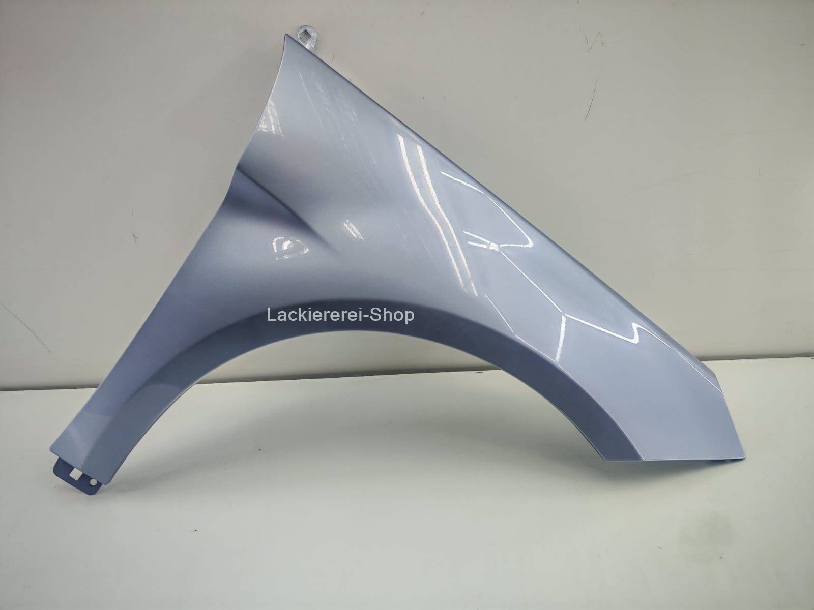 KOTFLÜGEL VORNE LACKIERT IN WUNSCHFARBE für Mercedes-Benz B-Klasse W245 2005-2008 – Bild 7