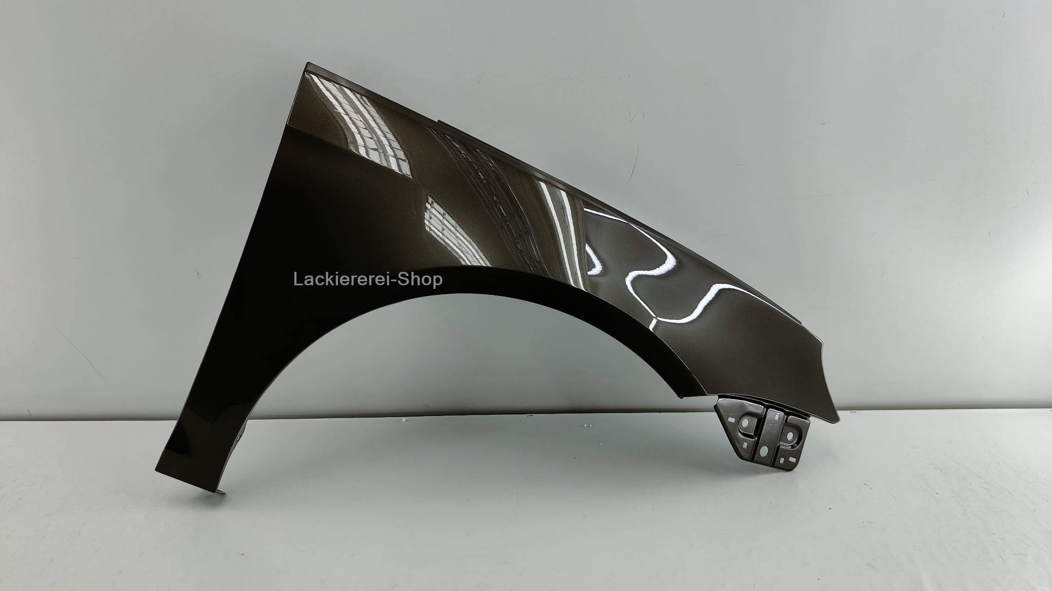 KOTFLÜGEL VORNE LACKIERT IN WUNSCHFARBE NEU VW EOS 2006-2015 – Bild 2