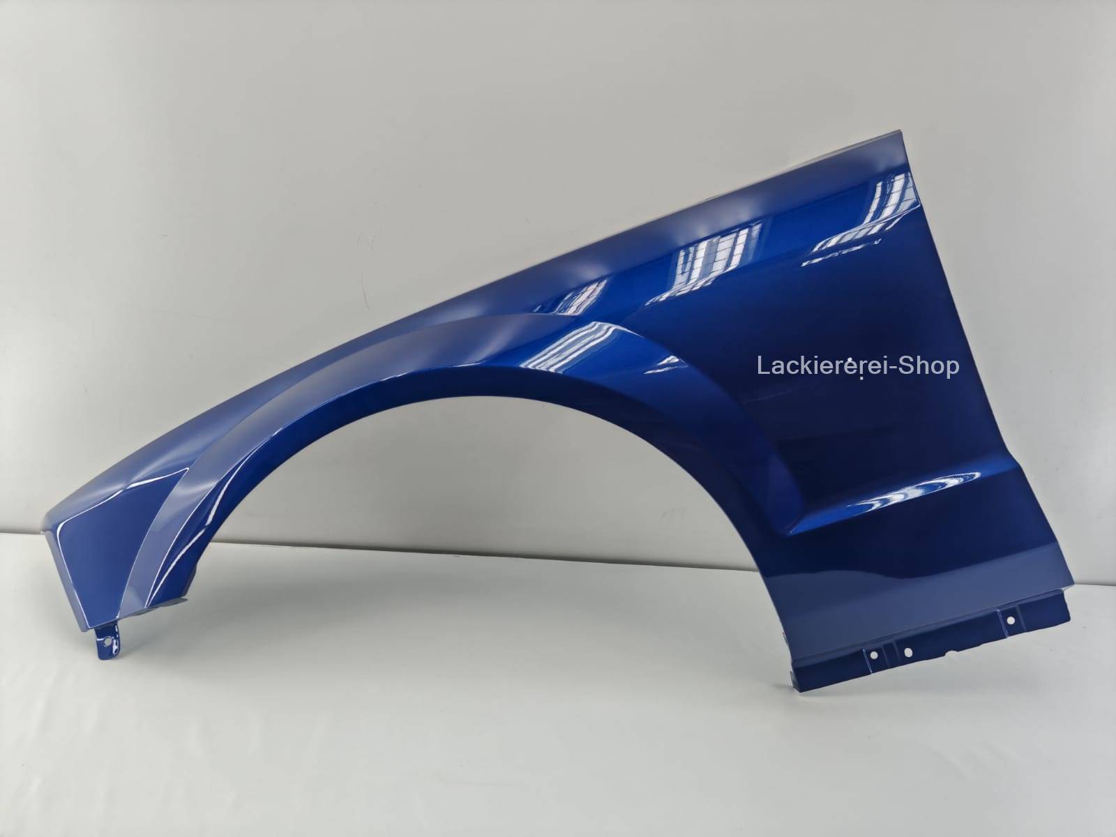 KOTFLÜGEL VORNE LACKIERT IN WUNSCHFARBE NEU für Ford Mustang 2004-2009 – Bild 8