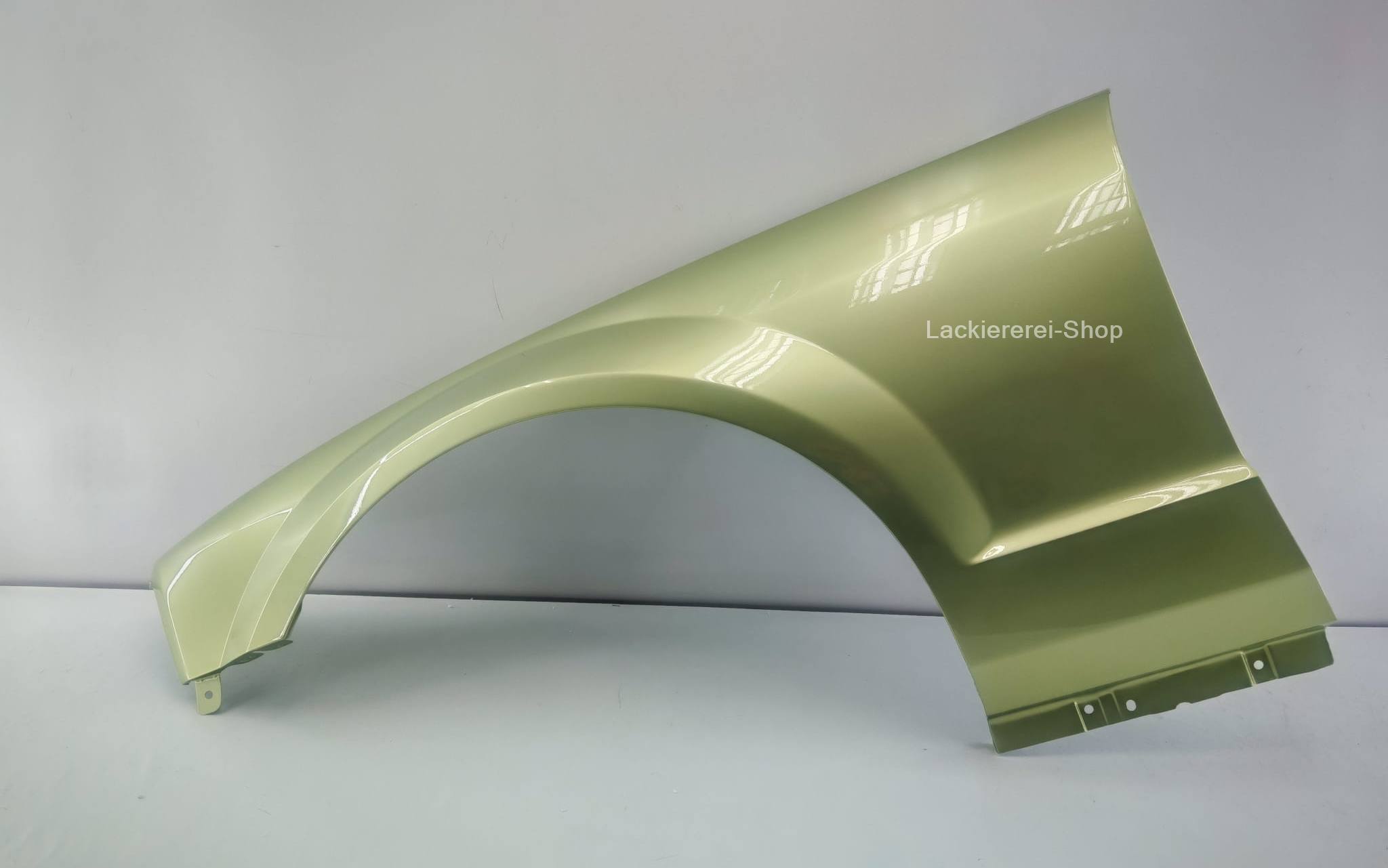 KOTFLÜGEL VORNE LACKIERT IN WUNSCHFARBE NEU für Ford Mustang 2004-2009 – Bild 19