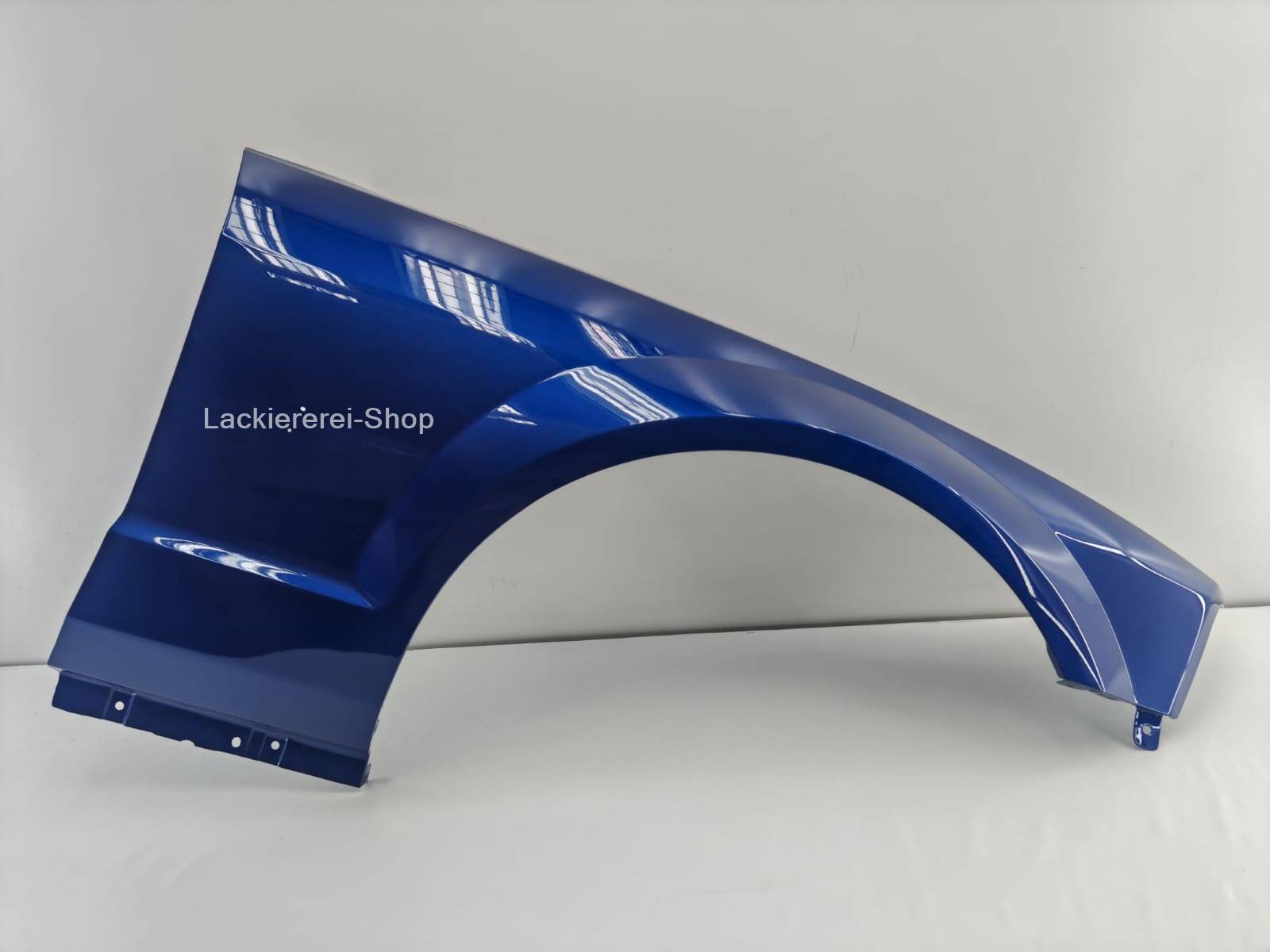 KOTFLÜGEL VORNE LACKIERT IN WUNSCHFARBE NEU für Ford Mustang 2004-2009 – Bild 17