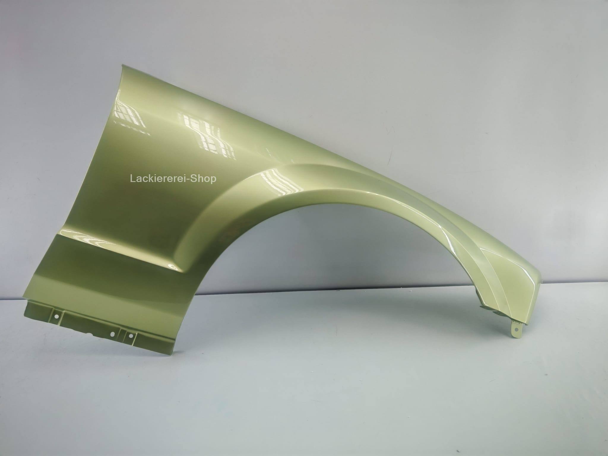 KOTFLÜGEL VORNE LACKIERT IN WUNSCHFARBE NEU für Ford Mustang 2004-2009 – Bild 2