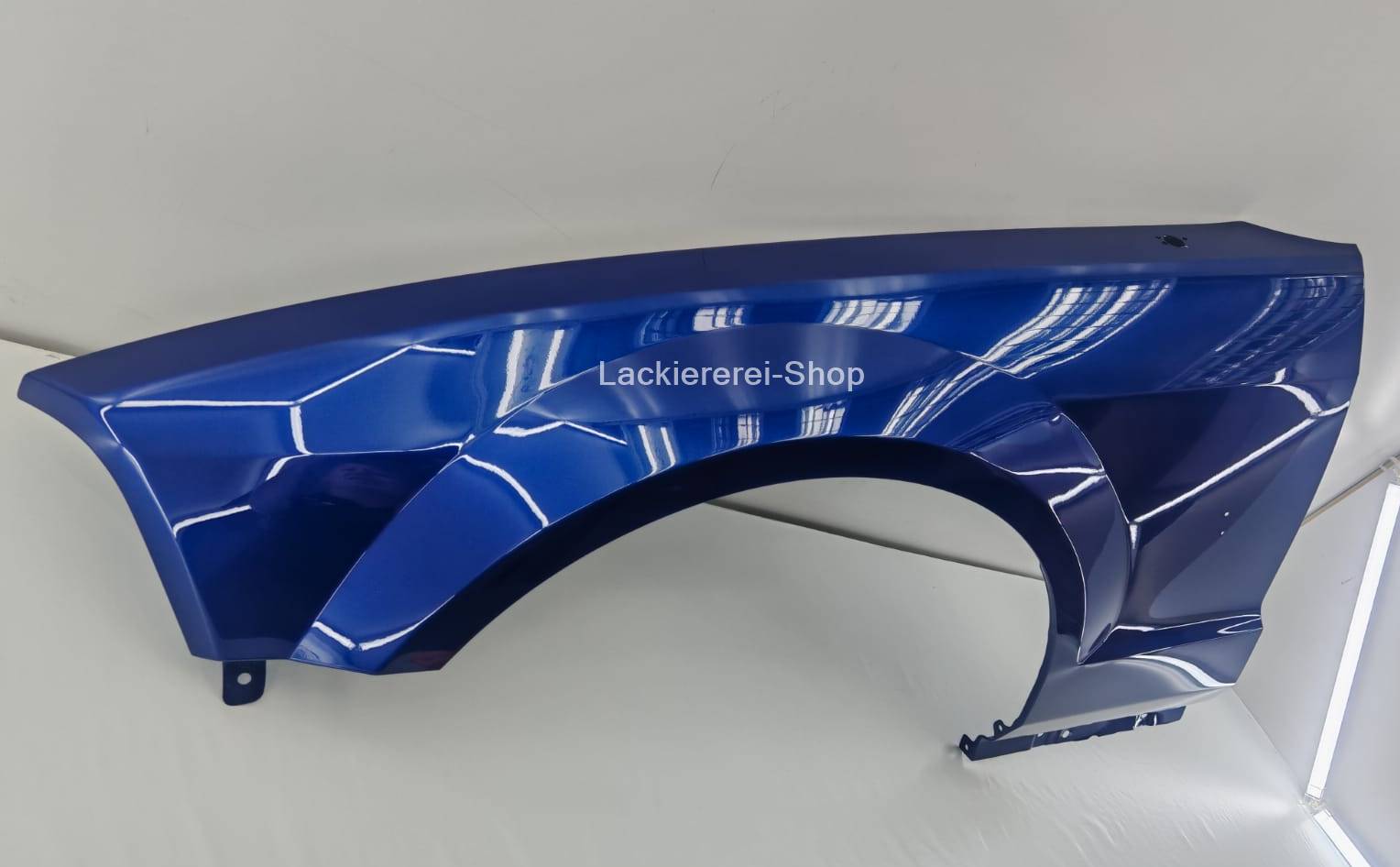 KOTFLÜGEL VORNE LACKIERT IN WUNSCHFARBE NEU für Ford Mustang 2004-2009 – Bild 3