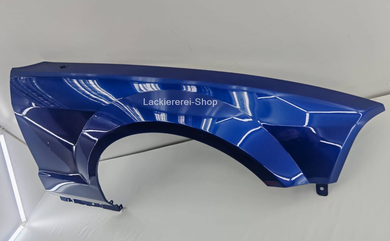 KOTFLÜGEL VORNE LACKIERT IN WUNSCHFARBE NEU für Ford Mustang 2004-2009 – Bild 12