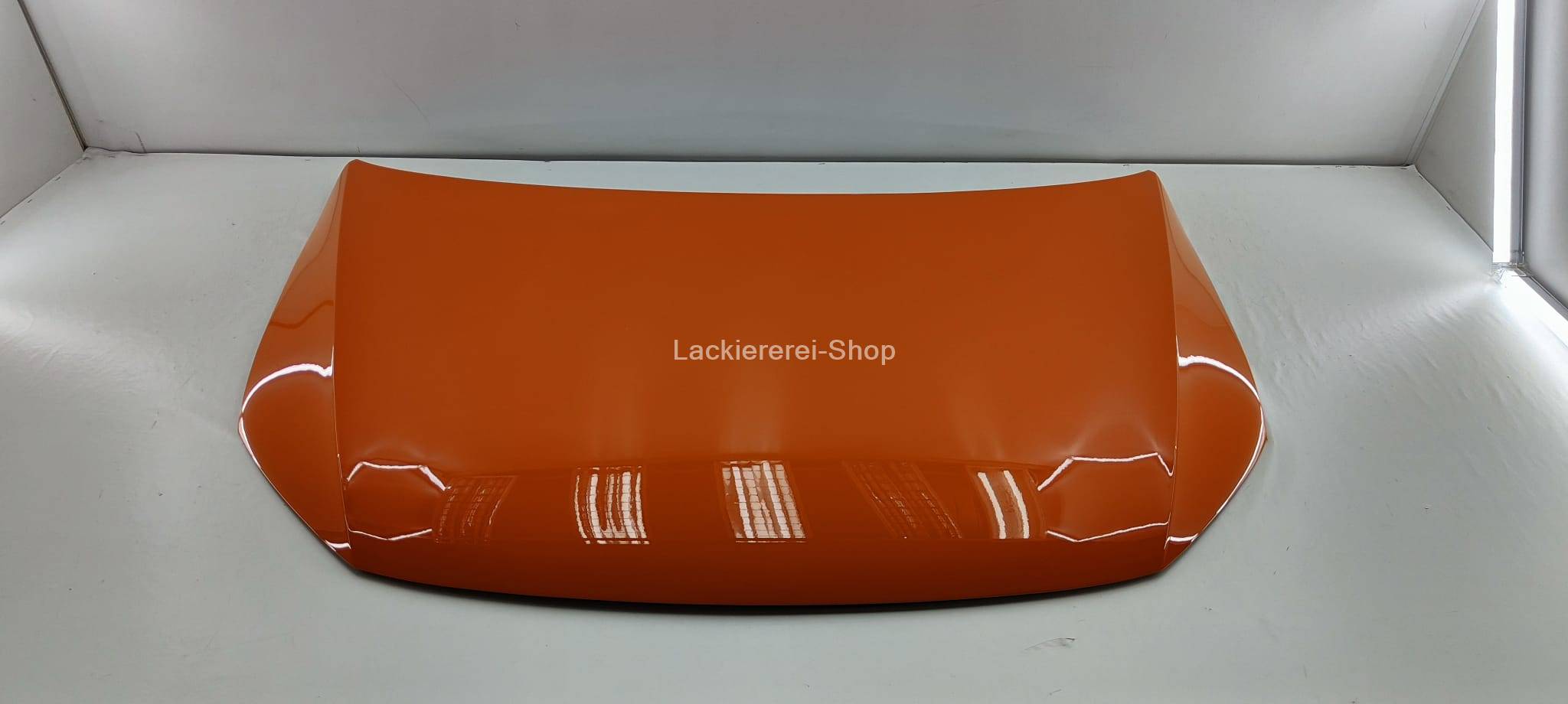 MOTORHAUBE LACKIERT IN WUNSCHFARBE NEU für VW Caddy IV 2015-2020 – Bild 2