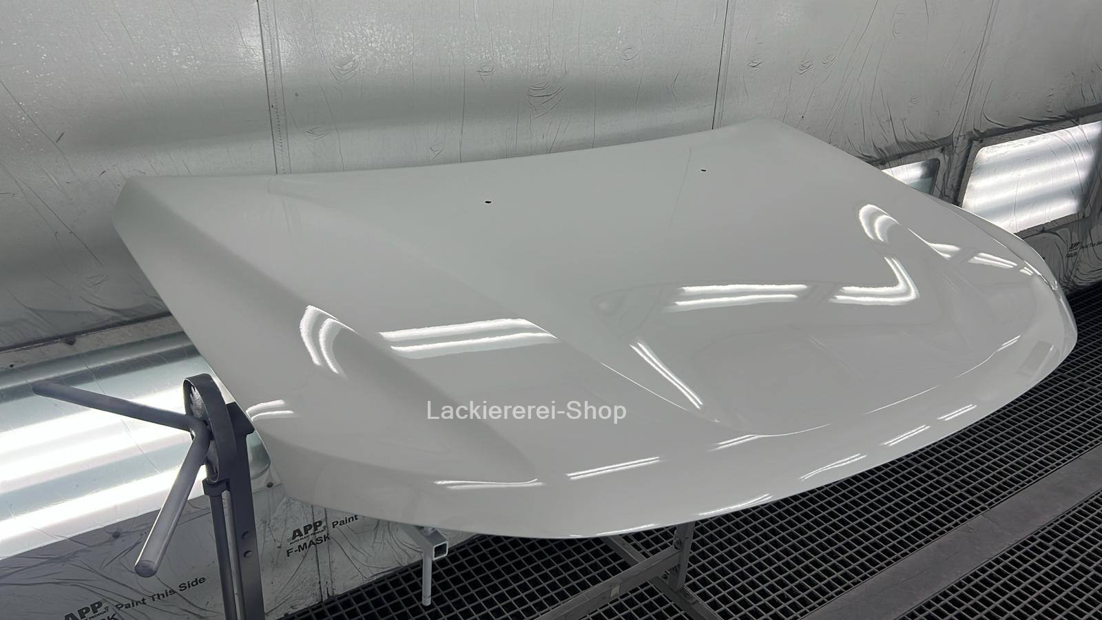MOTORHAUBE LACKIERT IN WUNSCHFARBE NEU für Dacia Duster 2 2017-2024 – Bild 8