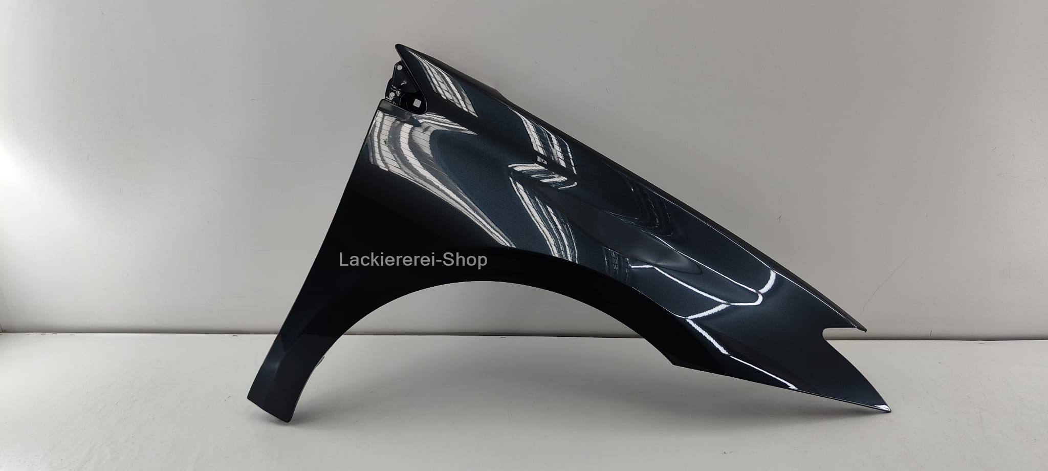 KOTFLÜGEL VORNE LACKIERT IN WUNSCHFARBE NEU für Renault Laguna 2007-2015 – Bild 4