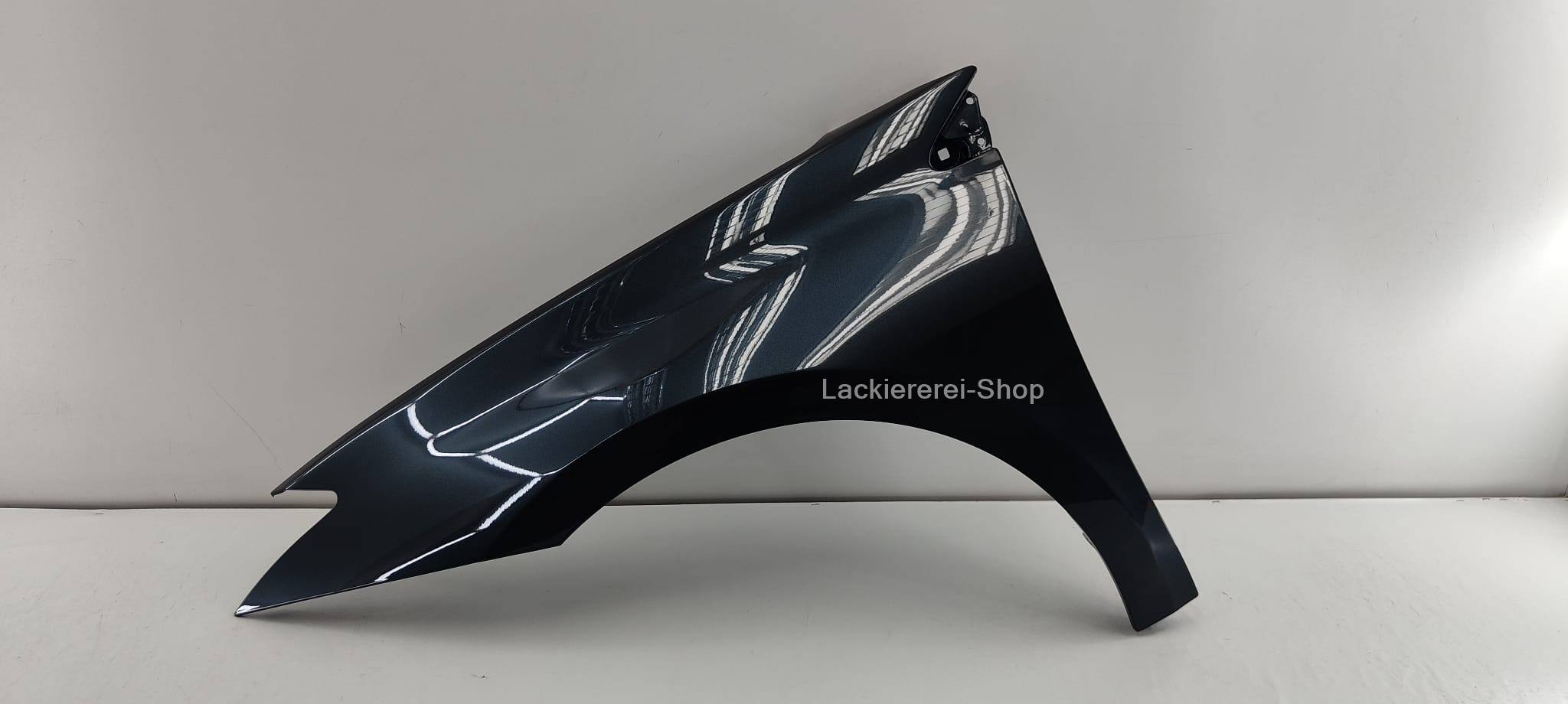 KOTFLÜGEL VORNE LACKIERT IN WUNSCHFARBE NEU für Renault Laguna 2007-2015 – Bild 2