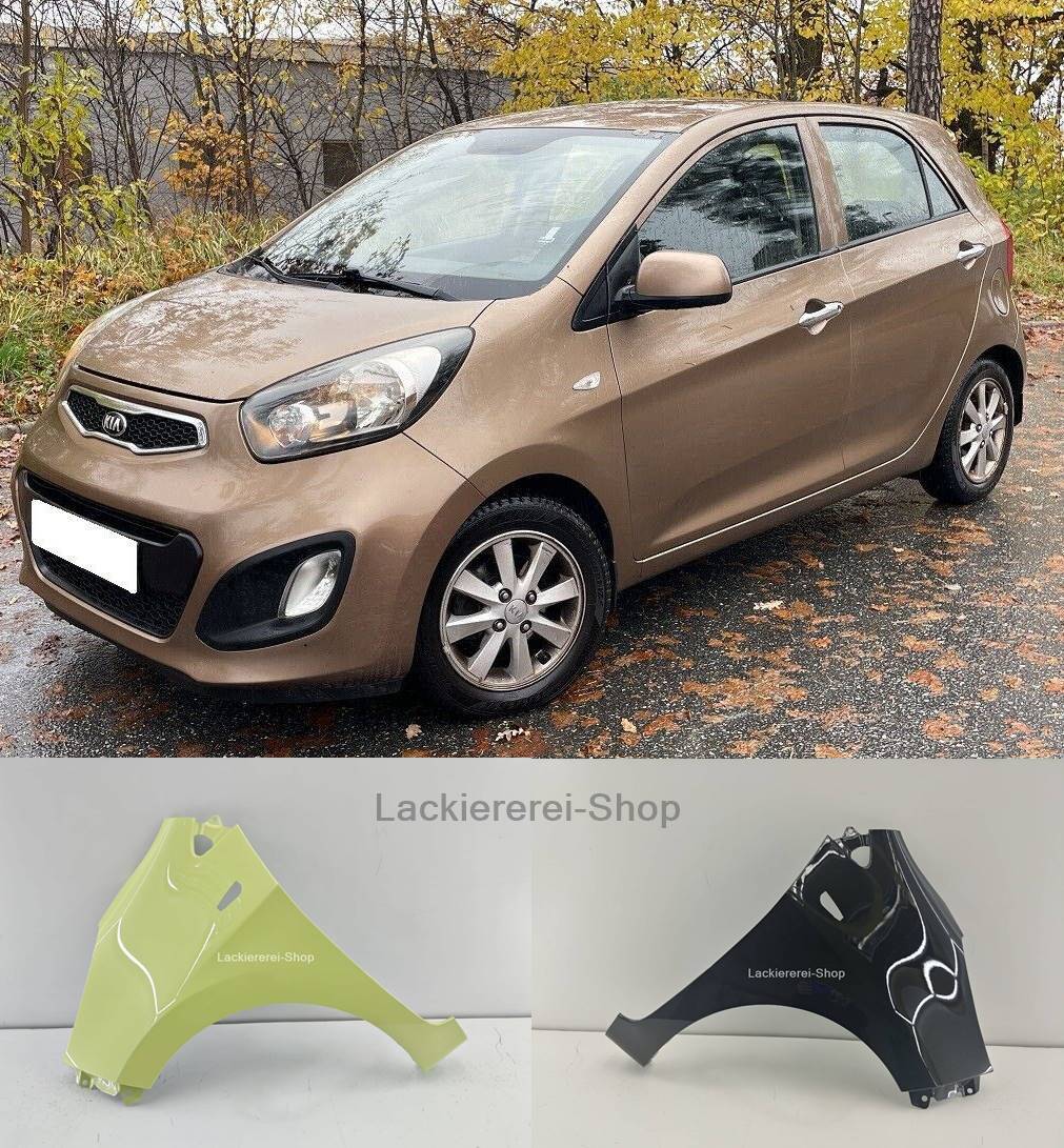 KOTFLÜGEL VORNE LACKIERT IN WUNSCHFARBE NEU für Kia Picanto 2011-2017