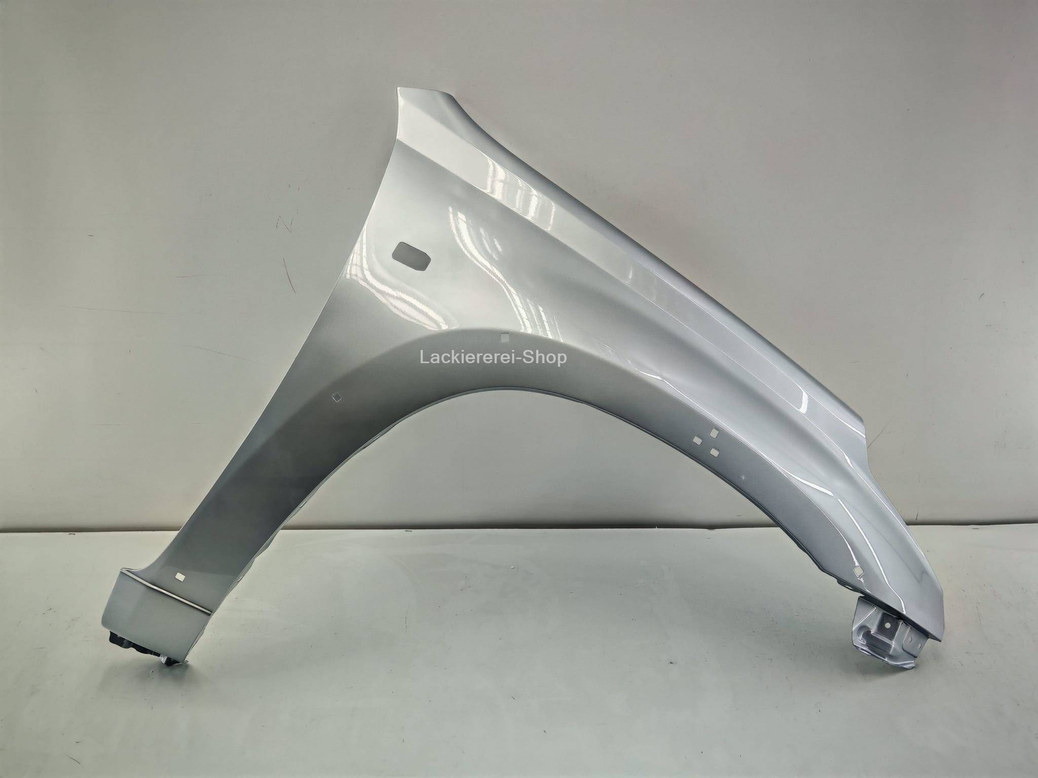 KOTFLÜGEL VORNE LACKIERT IN WUNSCHFARBE für Toyota RAV4 2000-2006 – Bild 4