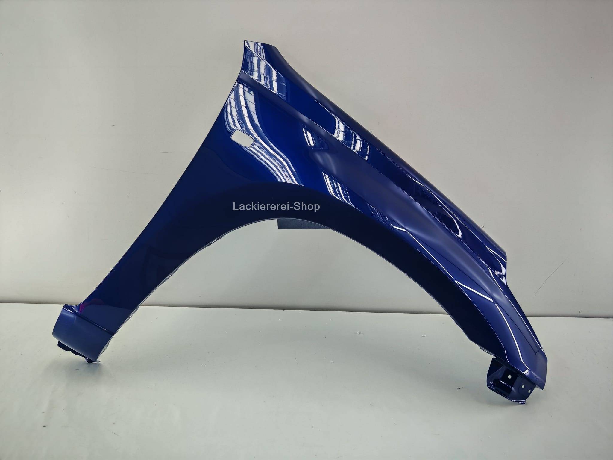 KOTFLÜGEL VORNE LACKIERT IN WUNSCHFARBE für Toyota RAV4 2000-2006 – Bild 3