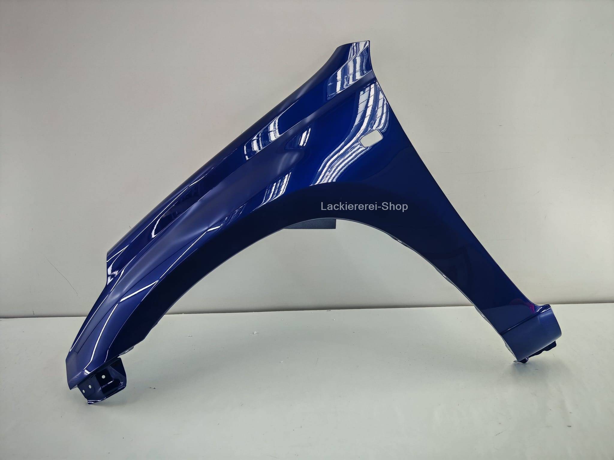 KOTFLÜGEL VORNE LACKIERT IN WUNSCHFARBE für Toyota RAV4 2000-2006 – Bild 5