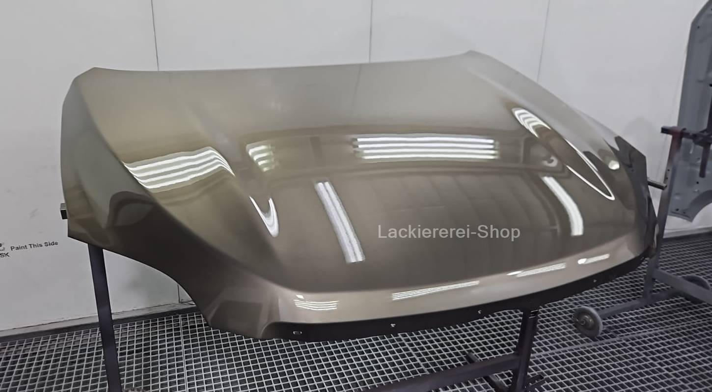 MOTORHAUBE LACKIERT IN WUNSCHFARBE NEU für Toyota RAV4 2010-2013 – Bild 3