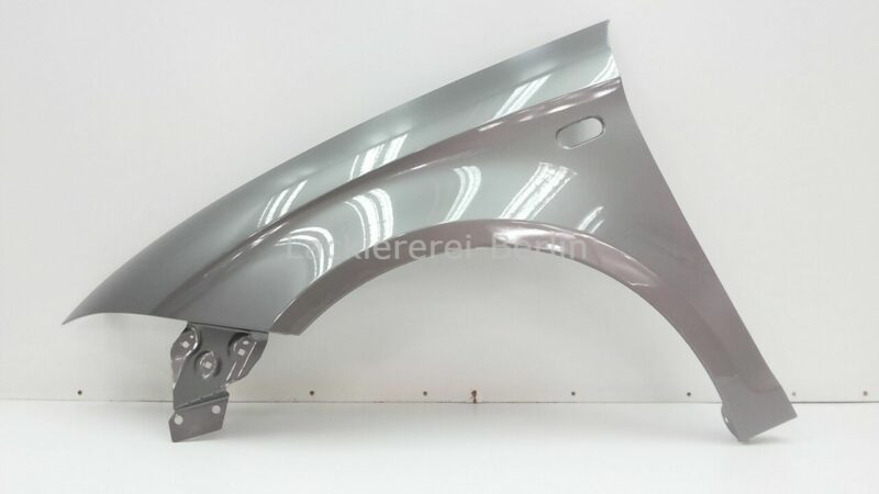 KOTFLÜGEL VORNE LACKIERT IN WUNSCHFARBE NEU für Seat Toledo III 2004-2009  – Bild 5