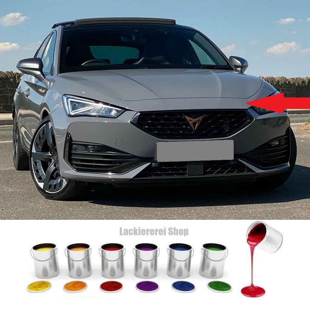 BLENDE VORNE LACKIERT IN WUNSCHFARBE NEU für Cupra Leon/Cupra Leon ST 2020-2024