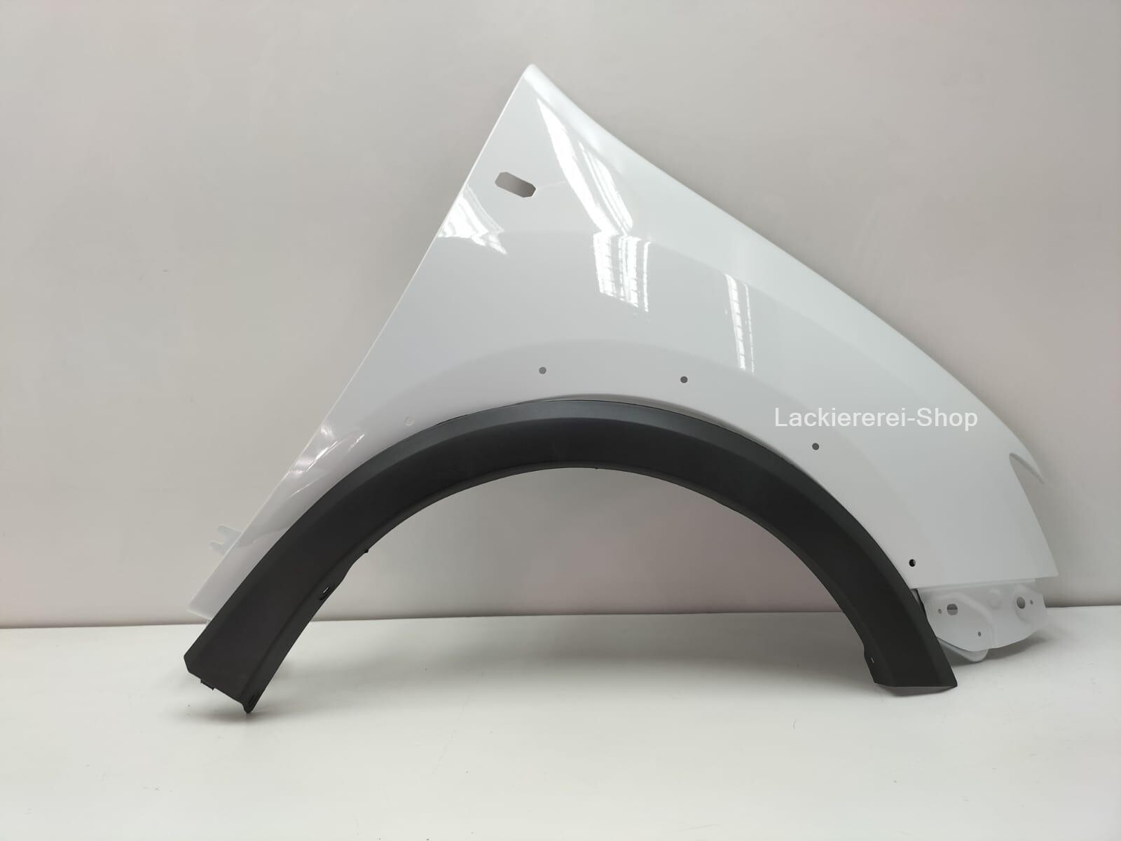 KOTFLÜGEL VORNE LACKIERT WUNSCHFARBE NEU für Dacia Logan Stepway 2012-2020 – Bild 5