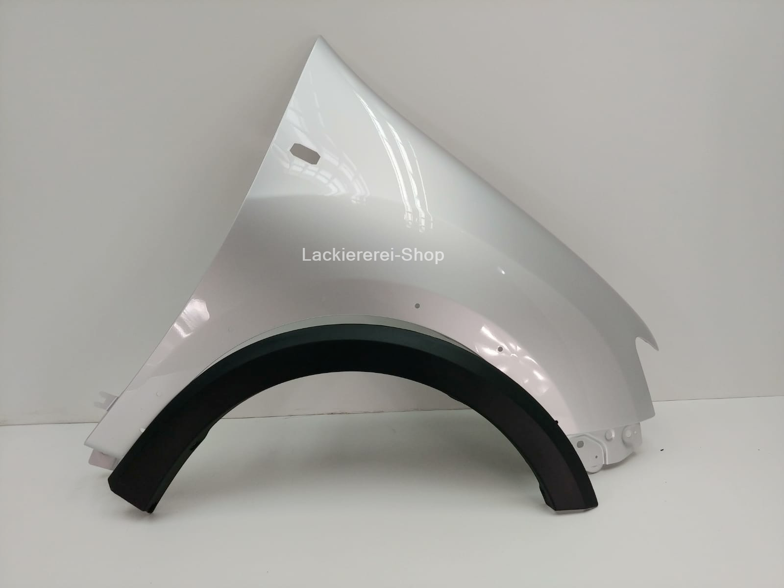 KOTFLÜGEL VORNE LACKIERT WUNSCHFARBE NEU für Dacia Logan Stepway 2012-2020 – Bild 6