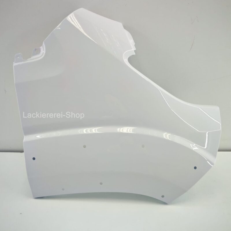 KOTFLÜGEL VORNE RECHTS LACKIERT IN 549 Weiß für Fiat Ducato 2014-  Lagerware