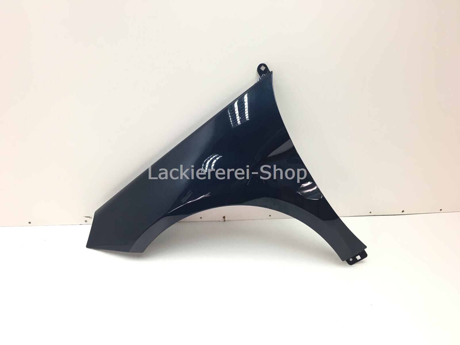 KOTFLÜGEL VORNE LACKIERT IN WUNSCHFARBE für Mercedes-Benz B-Klasse W245 2005-2008 – Bild 4